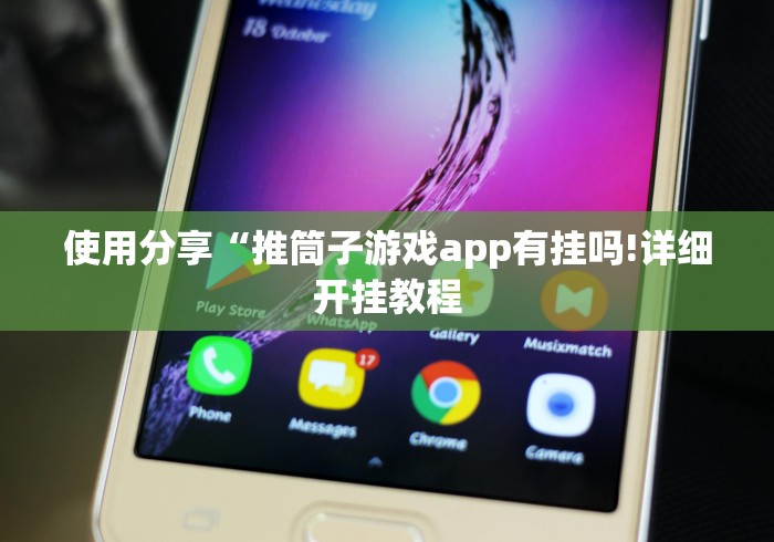 使用分享“推筒子游戏app有挂吗!详细开挂教程
