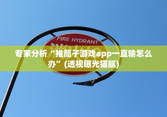 专家分析“推筒子游戏app一直输怎么办”(透视曝光猫腻)