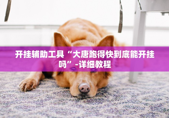 一分钟讲解“腾讯十三张免费开挂器”详细分享装挂步骤