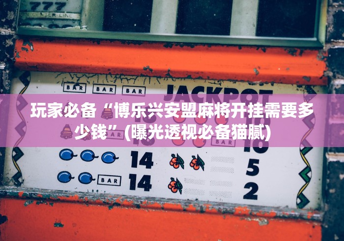 玩家必备“博乐兴安盟麻将开挂需要多少钱”(曝光透视必备猫腻)