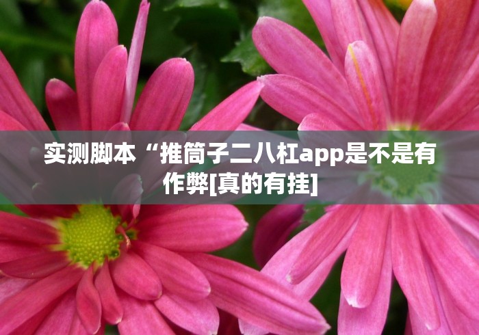 实测脚本“推筒子二八杠app是不是有作弊[真的有挂]