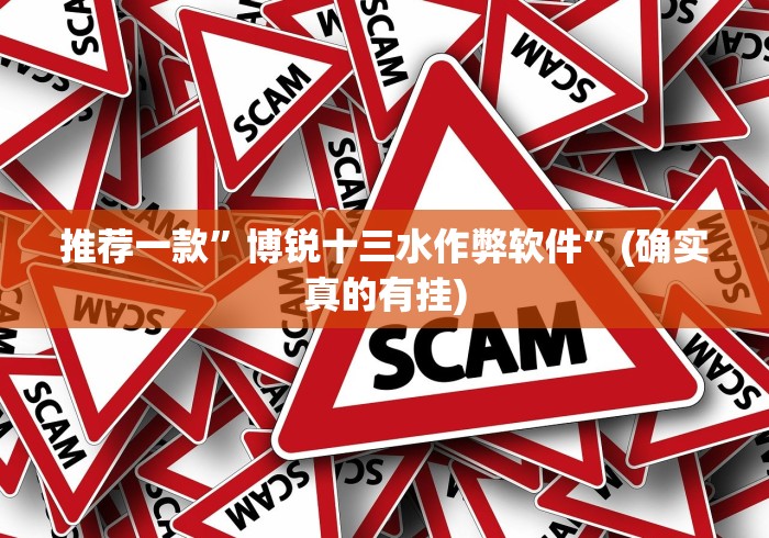 推荐一款”博锐十三水作弊软件”(确实真的有挂)