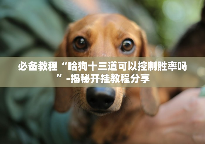 必备教程“哈狗十三道可以控制胜率吗”-揭秘开挂教程分享