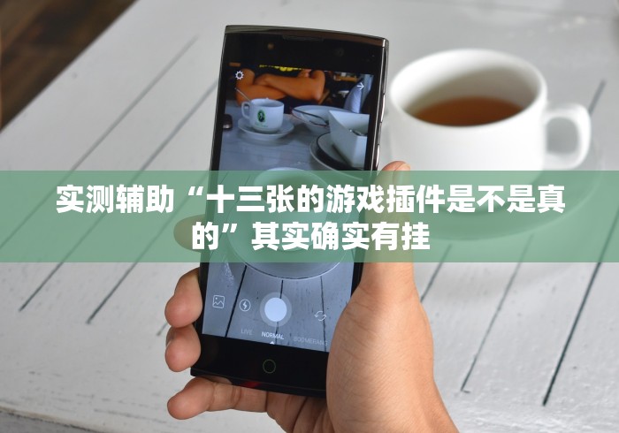 实测辅助“十三张的游戏插件是不是真的”其实确实有挂