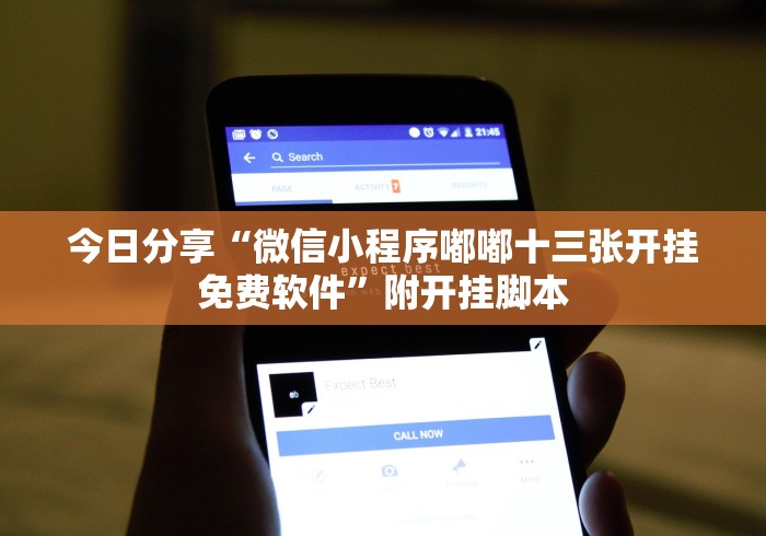 今日分享“微信小程序嘟嘟十三张开挂免费软件”附开挂脚本