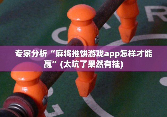 专家分析“麻将推饼游戏app怎样才能赢”(太坑了果然有挂)