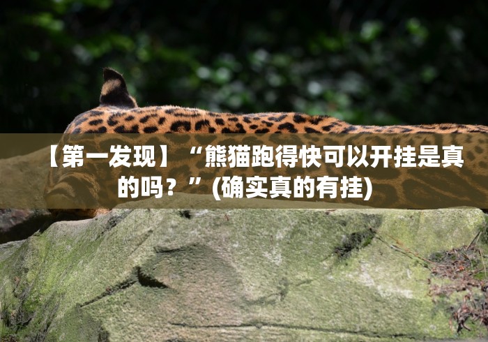 【第一发现】“熊猫跑得快可以开挂是真的吗？”(确实真的有挂)
