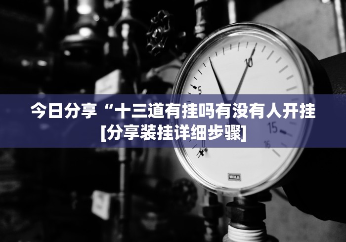 今日分享“十三道有挂吗有没有人开挂[分享装挂详细步骤]