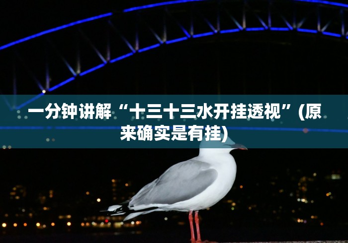 一分钟讲解“十三十三水开挂透视”(原来确实是有挂)